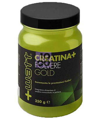 Image of CREATINA+ POLVERE GOLD 350 G